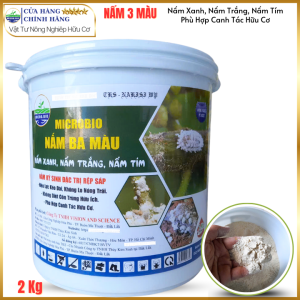 BTMET Nấm 3 Màu Ký Sinh Trừ Sâu Rầy rệp Sáp Sùng Đất An Toàn Sinh Học - Thùng 2kg