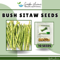 SULIT PACK! SITAW NA TURO/BUSH SITAW/LOS BANOS VARIETY (10 pcs seeds). 