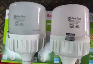 Bóng đèn led bulb Rạng Đông 30W chính hãng