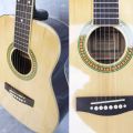 Paket Gitar Martin n Co Akustik Elektrik. 