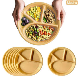 10inch Dividing plate set 12pcs Class A Plastic Plate Canteen Plate divider Kitchen cutlery