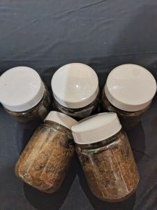 KAMLANG BASAH AYAM ADUAN / BURUNG MERPATI 200 GRAM RUDI JAYA VITAMIN JAMU SIAP LOMBA DALAM 5 HARI