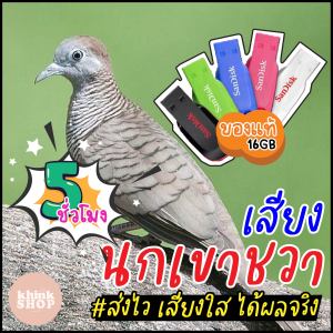 เสียงต่อนกเขาชวา เมมเสียงนกเขาชวา แฟลชไดร์ฟเสียงต่อนกเขาชวา มีเก็บเงินปลายทาง