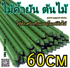 ไม้ค้ำต้นไม้(ยาว.60cm)((ราคาต่อเเท่ง..))...