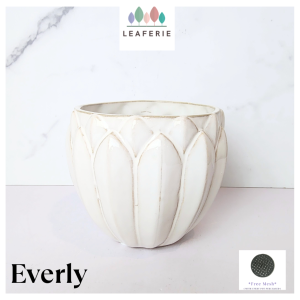 The Leaferie Everly white plant pots Ceramic no drainage flowerpot flowerpots flower pot planter