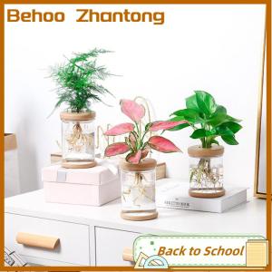 Behoo Chậu hoa trong suốt Chậu hoa nhựa hấp thụ nước tự động thủy canh