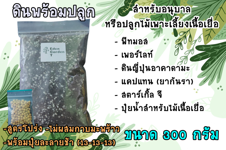 ดินพร้อมปลูกสำหรับอนุบาลไม้เพาะเลี้ยงเนื้อเยื่อ ไม้ด่าง ไม้ฟอกอากาศ