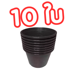 ถ้วยปลูก 5 นิ้ว กระถางปลูกสีดำขนาด 5 นิ้ว (**50ใบ**)