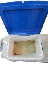 Cặp vỉ buồm đan Thủ Công tấm Cỏ Bàng ủ xôi cho thùng đá thùng xốp vừa giữ nhiệt và chống dính xôi đầy đủ kích thước