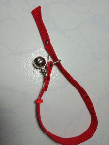 Dây vòng cổ chó mèo thú cưng