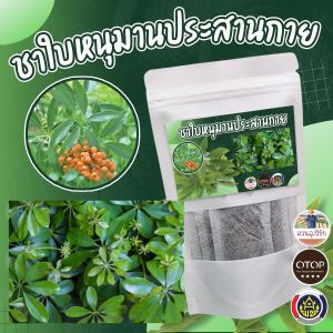 ชาหนุมานประสานกาย หนุมานประสานกาย ออกใบกำกับได้ สินค้าดี OTOP ขนาด 12 ซอง