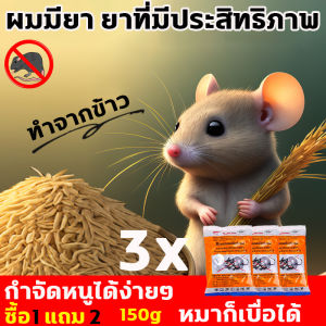 1คืน หนูตายหมด RATICIDE ยาเบื่อหนู 750g ลด 60บาท นำเข้าจากอเมริกา จดสิทธิบัตร สูตร ยาไล่หนู ยาฆ่าหนู ทำจากข้าวสาลี อาหารที่หนูชอบที่สุด ไม่มีหนูภายใน 600 ตารางเมตร ปลอดภัย ใช้ง่าย ตายจริง รักษาสิ่งแวดล้อม ยาไล่หนูบ้าน ยาเบื่อหนูแห้ง ยากำจัดหนู บ้าน