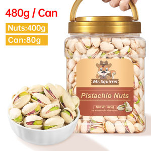Mr.Squirrel Roasted Pistachio Nuts In Shell 200/400g Salted Low Carb Healthy Snacks Wholesale