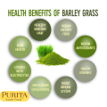 FITGUM Organic Barley Powder Original for detoxification, moistening intestines, burning fat, purifying liver, lowering cholesterol, beautiful skin, healthy slimming drink. 