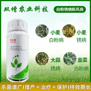 💗🙋♀️💗秀白奥50%醚菌酯水分散粒剂100克 小麦韭菜黄瓜大蒜等白粉病