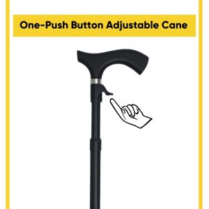The Cane Collective Sleek Black Walking Canes