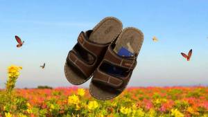 Debul รองเท้าแตะ ยี่ห้อ Deblu รุ่น 806 Size 39-44