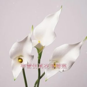 Hoa Lily Calla Nhân Tạo Alocasia Mẫu Trang Trí Mềm Mại Phòng Hoa Sắp Xếp Hoa Kinh Doanh Đạo Cụ Chụp Ảnh Cô Dâu Bó Hoa Cầm Tay