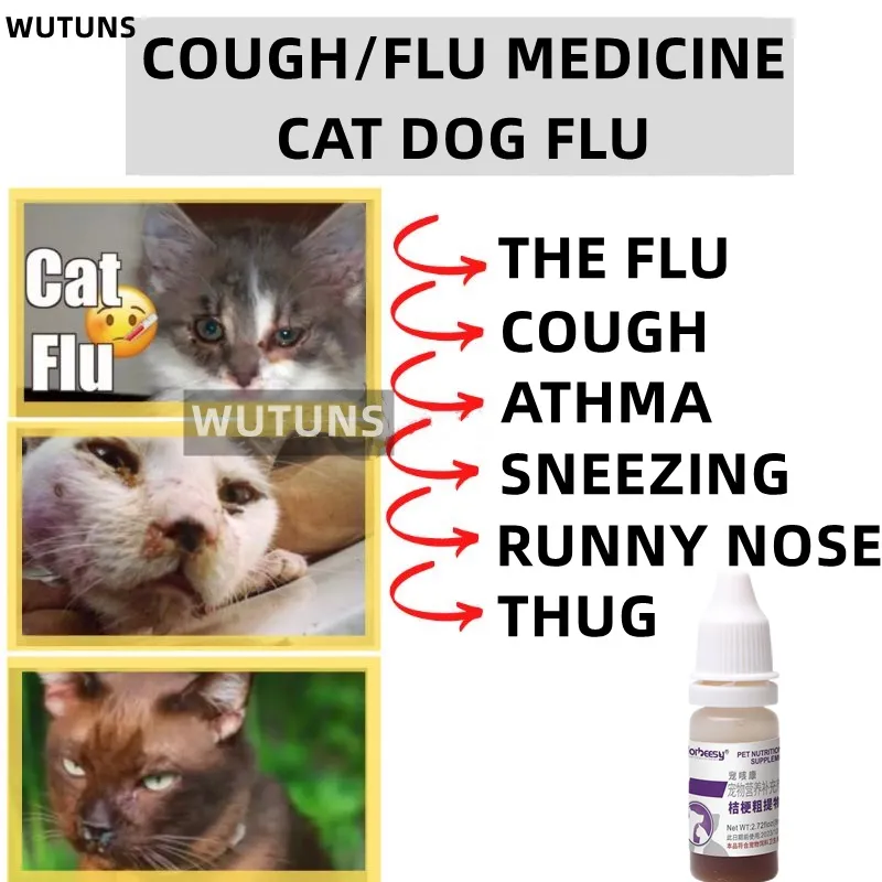 Home Remedies When A Cat Has A Cold 8ml Pet Cold Medicine For