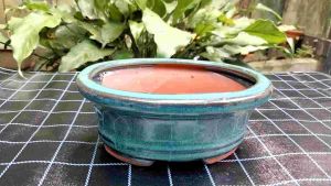 Chậu bonsai bát tràng ovan dáng cao