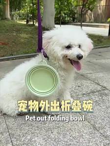 Pet Feeding Bowl Silicone Portable for Dogs for Home Care and Daily Use Suitable for Storage Cleaning or Routine Setup for Indoor Outdoor and Travel Use pet bowl bowl Home Care
