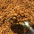 1kg ngô nếp sấy hành, ớt- thơm giòn. 