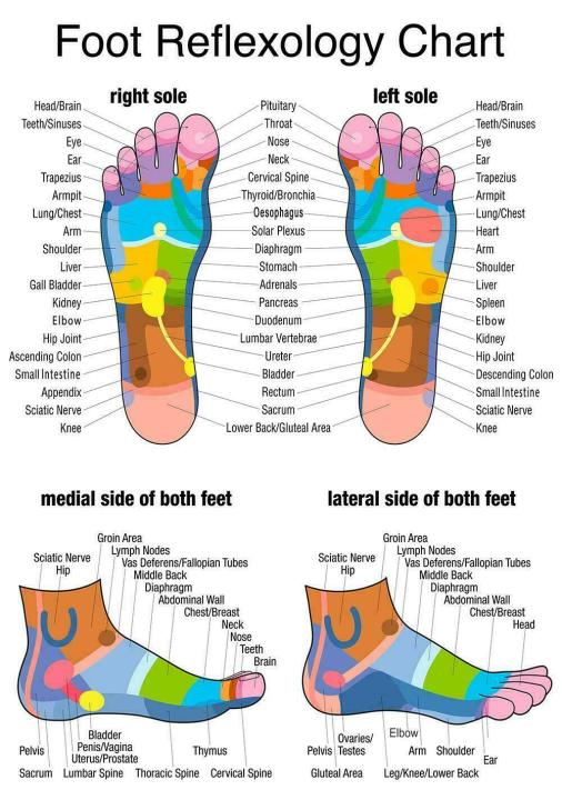 More Style Reflexology Labeled Medial Lateral Foot Chart Holistic Art ...