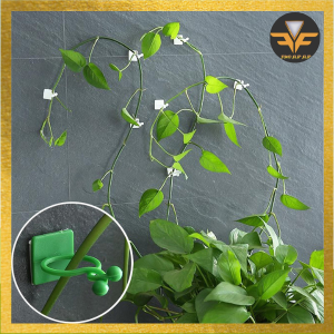 Penjepit Tanaman Rambat Hook klip Dinding / Klem Kabel/Plant Climbing Wall / Kait Tanaman Merambat