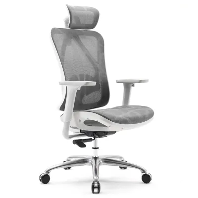 SIHOO M57C (Upgrade of M57) Ergonomic Office Chair Mesh Chair Adjustable Lumbar Support Home Office 4D Armrests