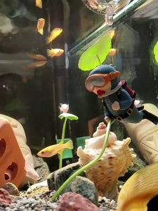 Đồ trang trí bể cá nổi đồ trang trí bể cá bể cá trang trí bể cá đồ chơi cảnh quan Nước Ngọt hình nổi