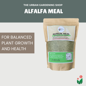 Alfalfa Meal - All Natural Soil Additive Derived from Dried Alfalfa Leaves for Home Gardening Use