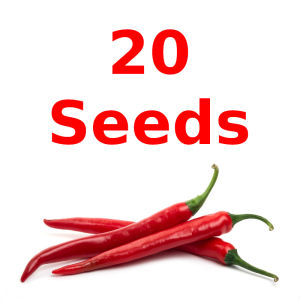 Green House® - Siling Labuyo Seeds for Planting Vegetable Plants (115 seeds) incl. Instruction Hybrid Hot Chili Plant