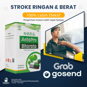 Antapro Bharata Original - Obat Herbal Stroke Menahun - Obat Herbal Stroke Ringan dan Berat Ampuh