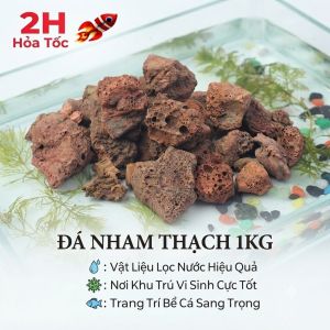 Đá Nham Thạch 1kg Lọc Nước Hồ Cá Nuôi Vi Sinh Và Trồng Cây Kiểng