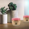 Andrea Secret Foundation Cream Sheep Placenta Whitening Anti-oxidation Beauty Make Up 78g AN023. 