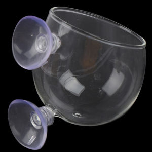 [Energetic] PAGG JUNY ลูกลอยตู้ปลาคริสตัลขนาดเล็กหม้อแก้วน้ำ Potted น้ำปลูกกระบอกสูบ