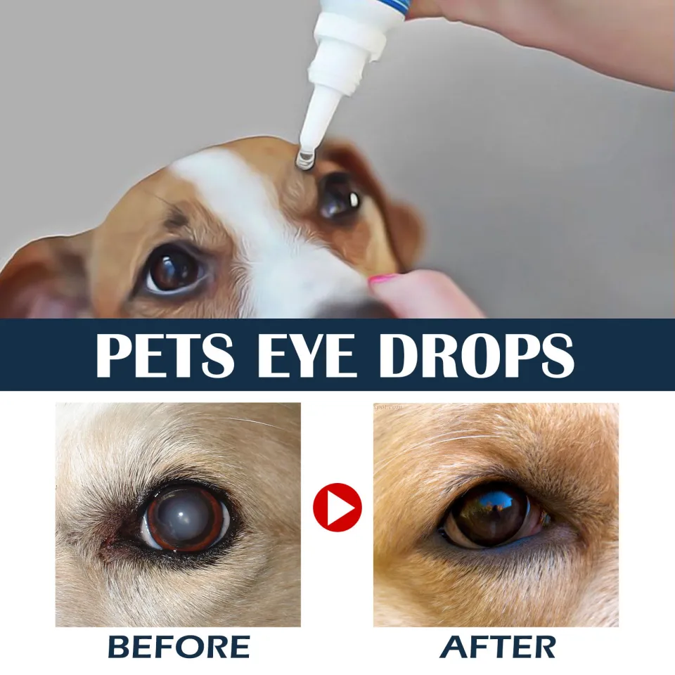Allergies Pink Eye Dog Medicine Allergic Conjunctivitis Dog Eye - Main Image