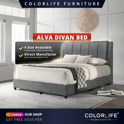 Color Life Alva Divan Bed / Bed For Bedroom / 4 Size Available ( Single / Super Single / Queen / King )
