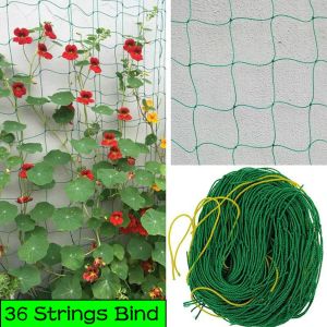 36 Strings Bind Garden Green Nylon Vegetable Plant Trellis Netting Support Nets Bean Plant Climbing Grow Fence Anti-bird Plant Climbing Net