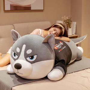 Gấu Bông Chó Husky Nhồi Bông hàng cao câp Mặt Ngáo siêu to khổng lồ dễ thương size từ 80cm 1m 1m2 1m5