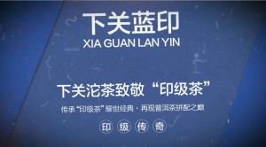 Xiaguan Tuocha 2018年 蓝印饼茶 . 印记传奇（生普洱）357g*1Pc| Lan Yin / Blue Mark Tea Cake (Raw Puer Tea)| Premium Tea| Yunnan Pu Er Tea| Tuo Cha| Black Tea| Healthy Tea| Chinese Tea| Teh Cina| 印级茶