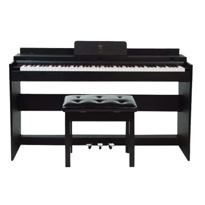Coleman F201 เปียโนไฟฟ้า Digital Piano จัดส่งด่วน แถมฟรีเก้าอี้ รับประกันศูนย์ Music Arms