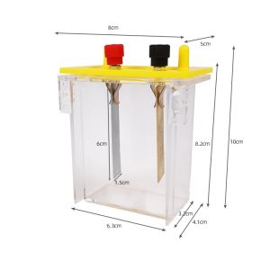 Salt Water Fruit Experiment Kit Student Physics Experiment Equipment Copper Plated Zinc Science Physics Experimental