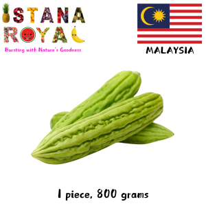 FRESH BITTER GOURD SUPERFOOD FOR YOUR WELLNESS IMPORTED FROM MALAYSIA - 1 PCS - ISTANA ROYAL FRUITS