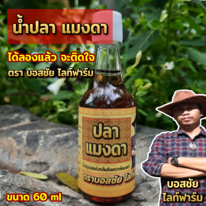 น้ำปลาแมงดา ขนาด 60 ml. (ขวดแก้ว) พกพาสะดวก ทานกับอะไรก็อร่อย หอมกลิ่นแมงดา