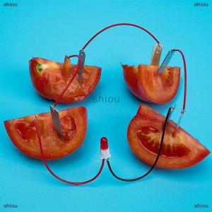 [COD] shiou 1 Set Children Bio Energy Science Kit Potato Fruit Supply Electricity Experiment