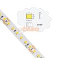 Cuộn 5M Đèn Led Dây Dán 12V Sáng Không Chớp Chuyên Dùng Trang Trí Nội Thất. 