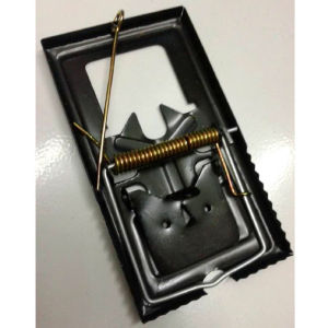 jebakan tikus tebal perangkap tikus jepretan tikus tebal  kzk