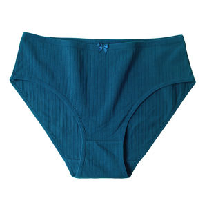 SUCCMING ALO yoga Obesity in Europe and America MM Plus Size High Waist Cotton Underwear for Women Mommy Triangle Panties Summer panties