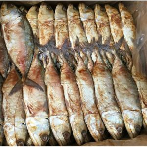 ikan asin peda merah super 1 kg ikan asin murah COD Bayar ditempat